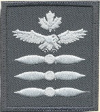 level 3 badge