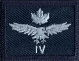 level 4 badge