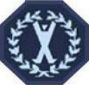FSI badge