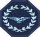 DCI badge