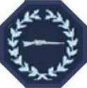ARMI badge