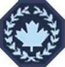 SCdt badge