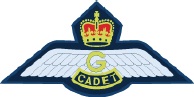 Glider pilot wings badge