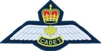 Power pilot wings badge