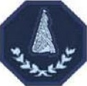PB badge