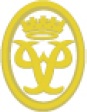 Gold Duke of Edinburgh pin